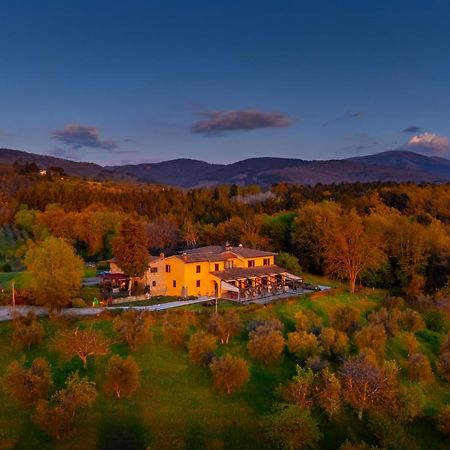 Tenuta Risalpiano Villa Pelago Kültér fotó